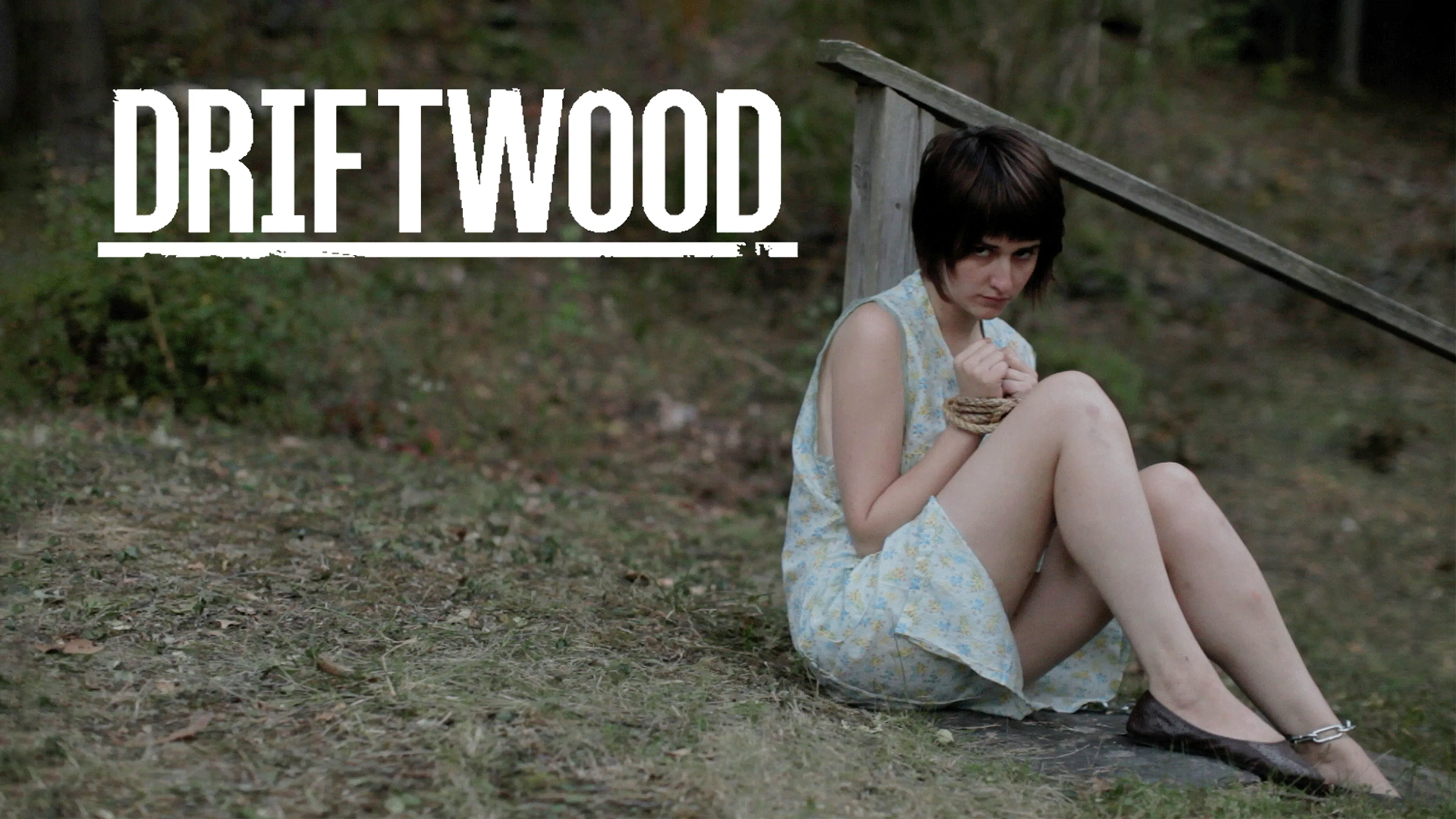 Driftwood poster